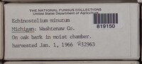 Image Associated With the Occurence
